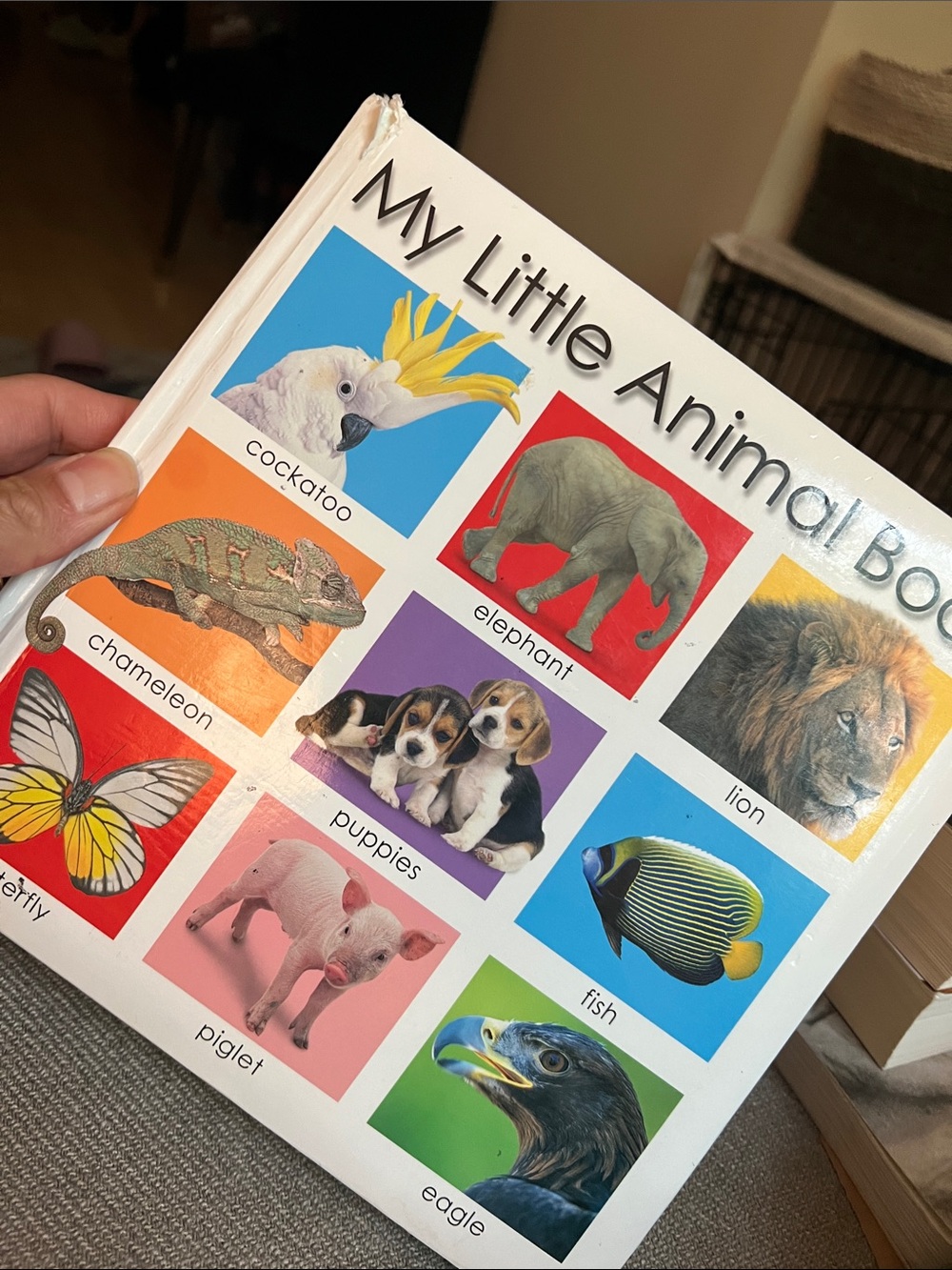 My Little Animal Book By Roger Priddy
2006 Board Book (Padded)